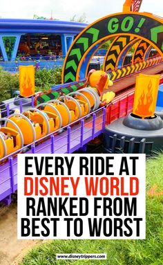 an amusement park with the words, every ride at disney world is ranked from best to worst