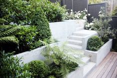 an outdoor garden with stairs and plants