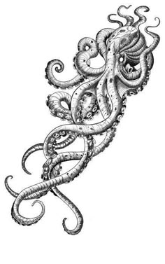 an ink drawing of an octopus in black and white