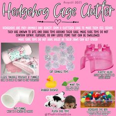 Hedgehog Bin Cage Ideas, Toys For Hedgehogs, Hedgehog Habitat Ideas, Diy Hedgehog Toys, Kibble Toppers, Hedgehog Treats, Hedgehog Room