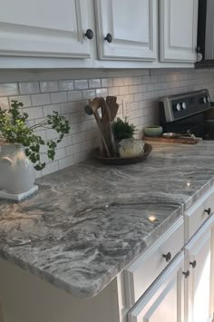 a kitchen counter top that has some utensils on it and a potted plant in the middle