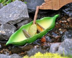 a close up of a green plant with leaves on it's side and rocks in the background