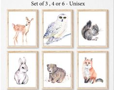 six watercolor paintings of different animals on white paper with text that reads set of 3, 4 or 6 - unisex