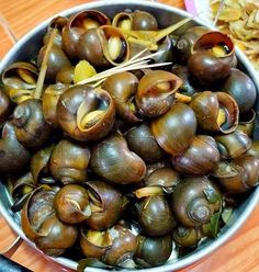 a bowl filled with lots of clams on top of a wooden table