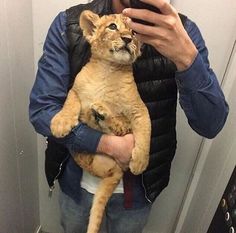 a man taking a selfie with his cell phone while holding a baby lion cub