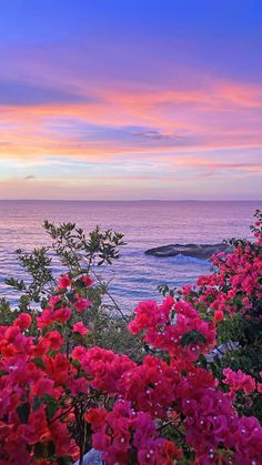 Flowers, sunset, beach and bliss...what more do we really need? Magical sunsets from Celeste at Malliouhana Auberge really lift your spirit on Meads Bay in the northern coast of Anguilla #meditation #relaxation #beach #ocean #sunset #travel @aubergeresorts @MalliouhanaAuberge Aesthetic Travel Pictures, Flowers Sunset, Sunset Travel, Find Cheap Flights, Aesthetic Travel, Ocean Sunset, Cheap Flights, Sunset Beach, Travel Pictures