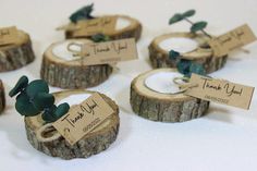 small tree slices with tags attached to them