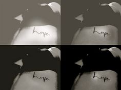 four different pictures with the words hyppe written on their butts and neck