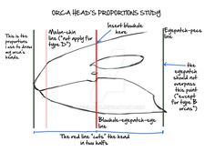 a diagram showing how to draw an orca whale's propptions study