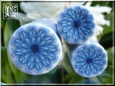 three blue and white flowers sitting next to each other