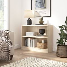 a living room filled with furniture and a potted plant