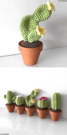 crocheted cactus in flower pots with flowers on each one and the other side