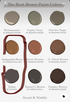 the best brown paint colors to use in your home or office, including neutrals and browns