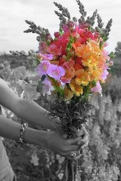 a woman holding a bouquet of flowers in her hands while standing next to a field