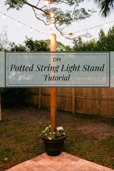 a potted string light stand in the backyard