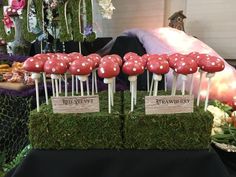 there are many mushrooms on sticks in the mossy trays with name tags attached to them