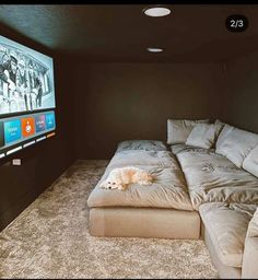 a dog laying on top of a couch in front of a flat screen tv mounted to the wall