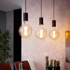 three light bulbs hanging from the ceiling above a dining room table with potted plants