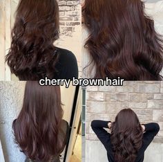 ifakesoul Wine Hair, Cherry Brown, Cherry Hair, Hair Tint, Hairstyles For Layered Hair