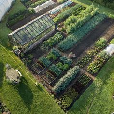 an aerial view of a garden with many plants