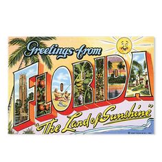 an old florida postcard with the words greetings from florida, the land of sunshine