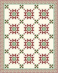 a quilt with red and green designs on it's sides, in the center