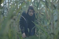 a young man crouches down in the middle of a corn field looking at something