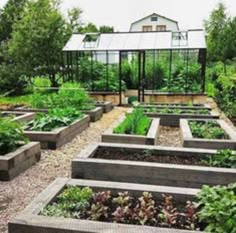 a garden with many different types of plants and vegetables growing in it's beds