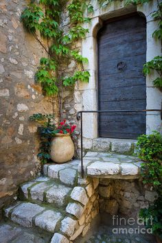 a door and steps leading up to a building with ivy growing on it's walls