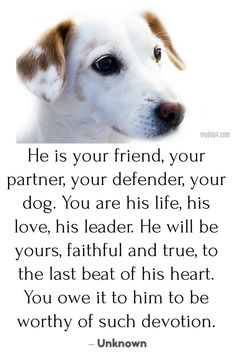 a white and brown dog with the quote he is your friend, your partner, your dog