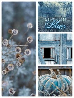 four different pictures with the words autumn blues on them