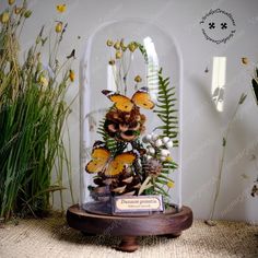 a glass clochet with butterflies and flowers inside it on a table next to some plants