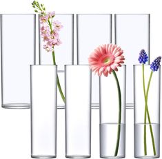 Amazing Abby - Viola Elevata - Acrylic Cylinder Vases (8-Piece Set), Plastic Cylindrical Flower Vases for Wedding Centerpieces, Home Decorations, Office Ornaments, Shatter-Proof, 9" (H)