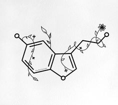 a drawing of the structure of a plant with leaves and flowers drawn on it's side