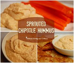 some food that is on a plate with carrots and hummus