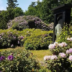 there is a statue in the middle of some bushes and flowers with purple flowers around it