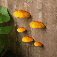 three pieces of fruit sitting on top of a wooden table next to a green plant