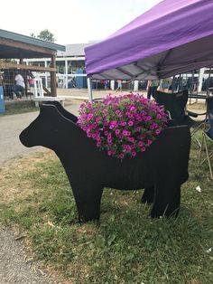 a black cow planter with purple flowers in it