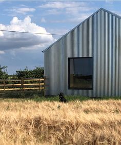 a dog is sitting in the grass near a building that has a metal structure on it's side