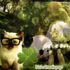 a cat wearing glasses sitting in the grass next to stuffed animals and clover leaves,