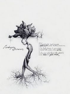 a drawing of a tree with roots and an image of a woman's body