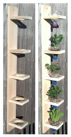 two vertical shelves with plants in them