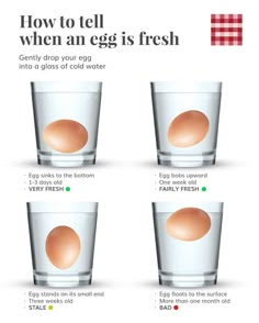 an egg in a glass with four different stages