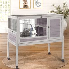 a rabbit in a cage sitting on top of a wooden floor next to a potted plant