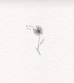 a drawing of a dandelion on a white paper