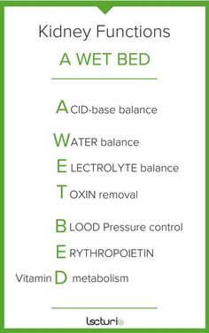 the words kidney functions are in green and white