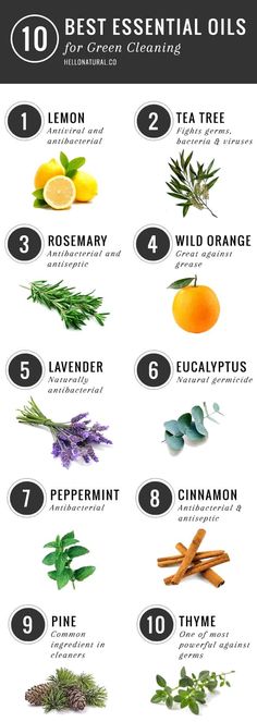 the top ten essential oils for hair and body care infographical poster with text