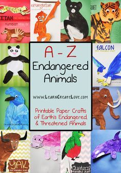 A-Z Endangered Animal Crafts | LearnCreateLove.com. Includes facts and a free printable craft for each animal. Paper Craft Ideas For Kids, Zoo Animal Crafts, Free Printable Crafts