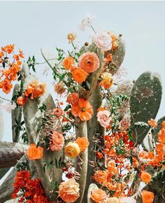 an arrangement of flowers and cacti in pots