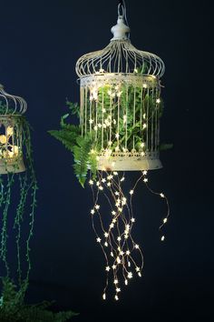 two white birdcages with lights hanging from them and plants growing out of them